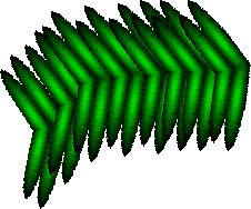 frond01.gif
