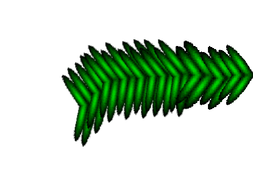 frond02.gif