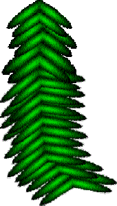 frond03.gif